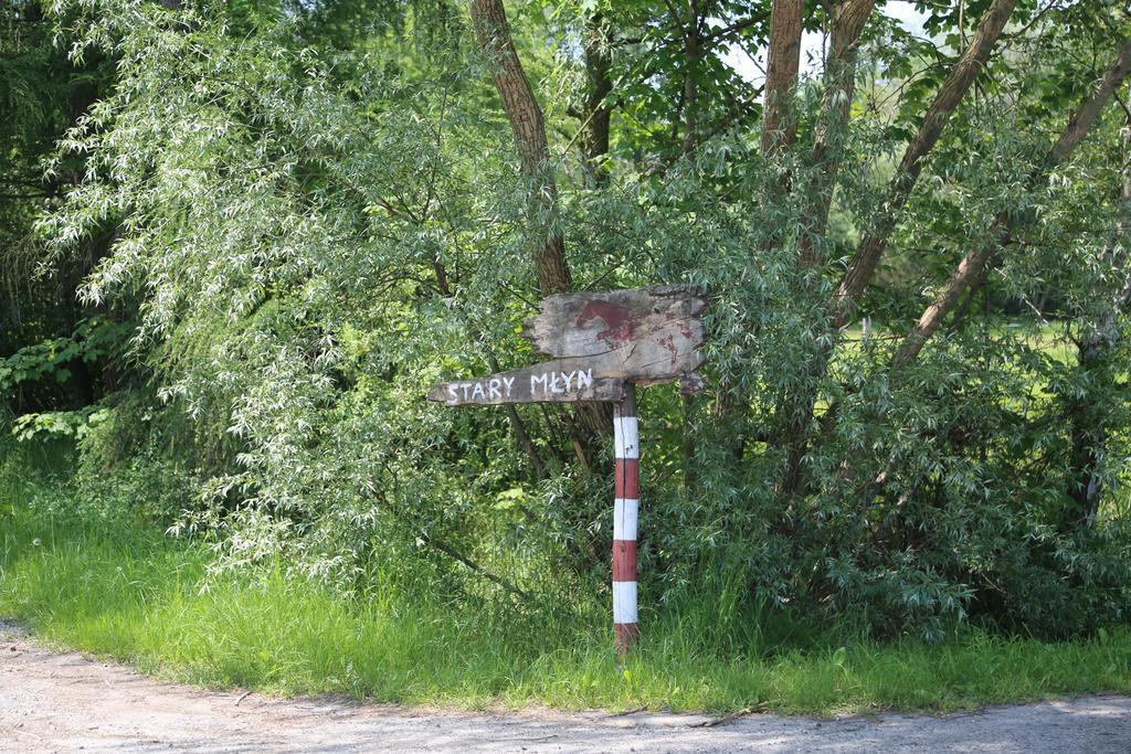 Gospodarstwo Agroturystyczne Stary Mlyn Wilczkowice ميتشالوفيتس المظهر الخارجي الصورة